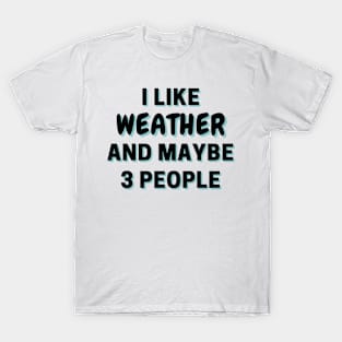 I Like Weather And Maybe 3 People T-Shirt